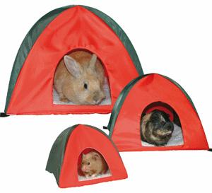 Delux Guinea Pig