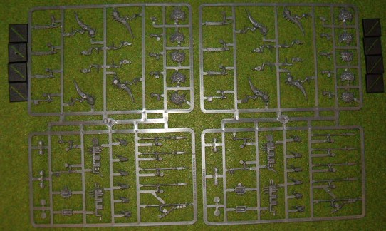 8 Lizardmen Saurus