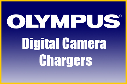 Fuji Chargers