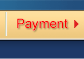 Payment