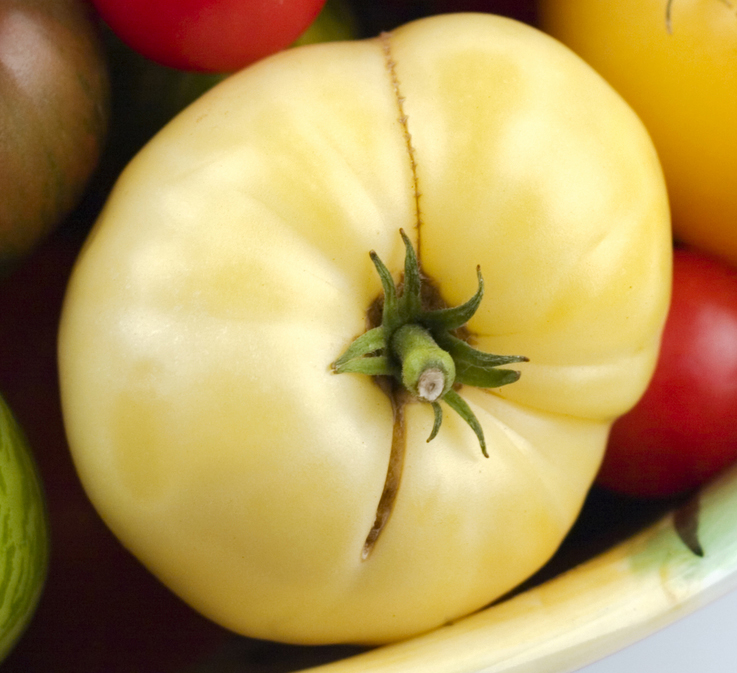 great white beefsteak tomato