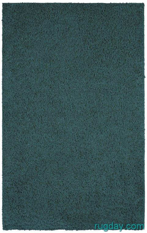 Shag Soft Retro Fluffy Area Rug 5x8 Carpet Aqua Teal