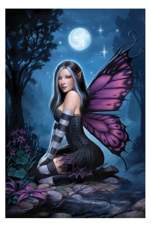 POSTER === Night Fairy   James Ryman   Maxi === NEW  