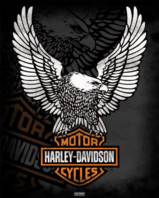 POSTER === Harley Davidson   Eagle   Mini Poster == NEW  