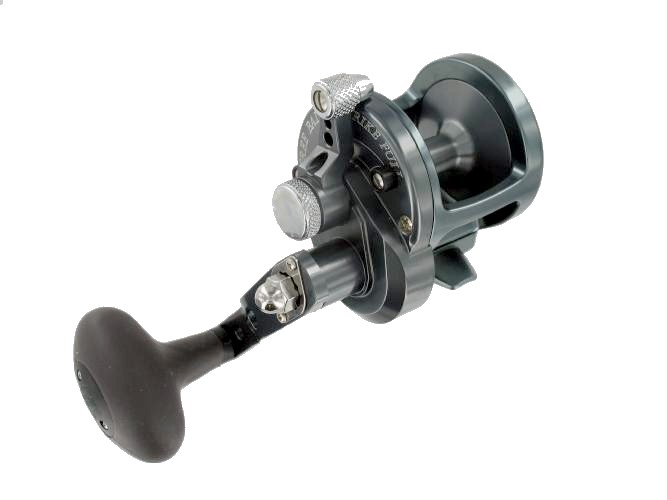 NEW Avet SX 5.31 conventional reel. Purple color  