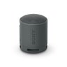 Sony NEW - SRSXB100B - XB100 Portable Wireless Speaker (Black)